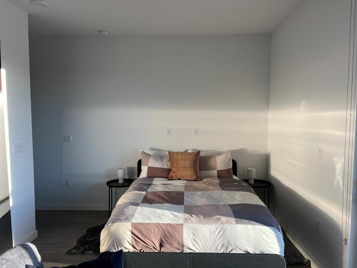 Santa Monica Bright With Stunning View